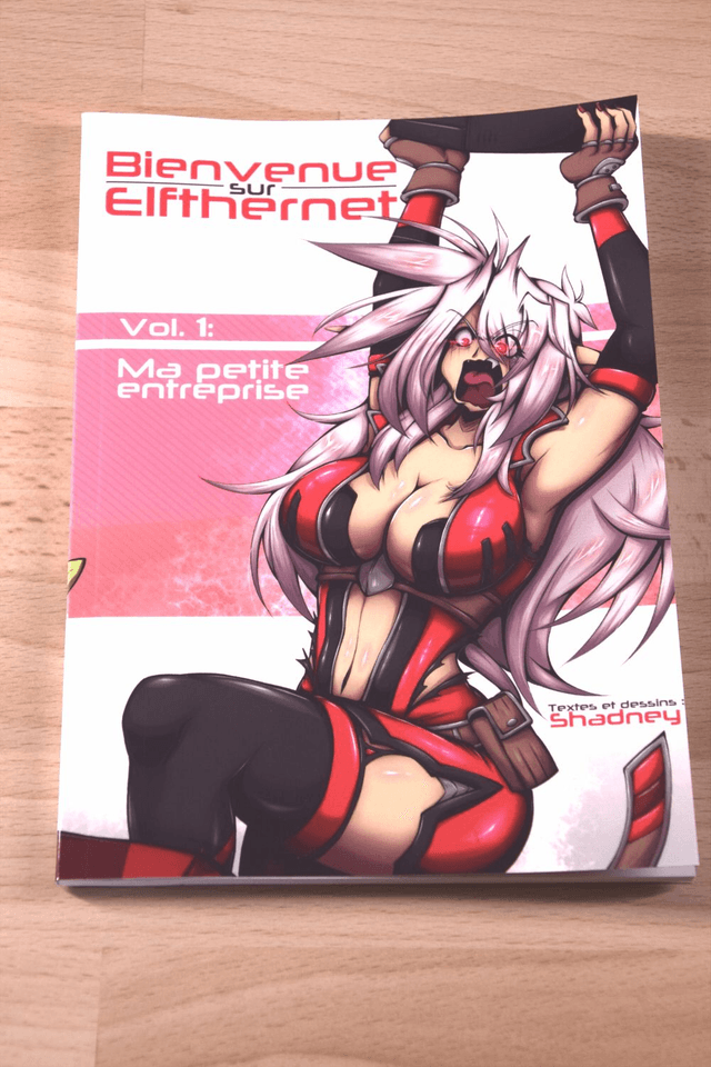 Bienvenue sur Elfthernet - Tome 1